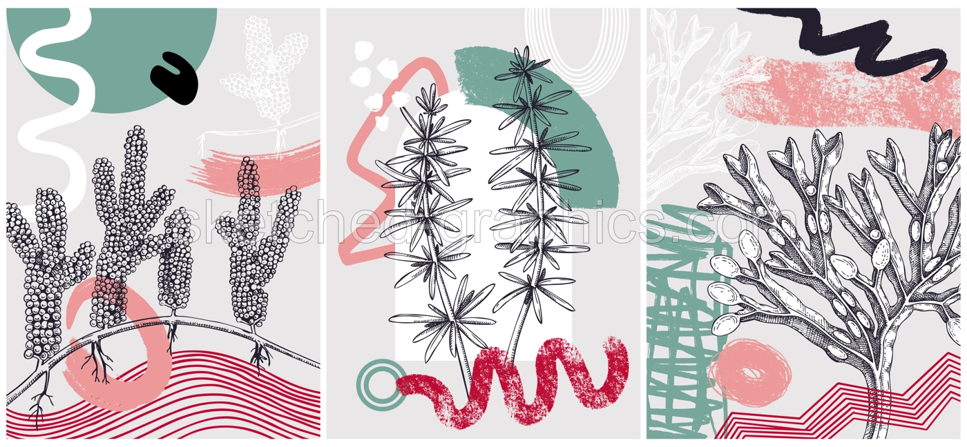 Collage-style seaweeds vector illustration. Sketched underwater plants banner set. Trendy design with botanical elements and geometric shapes. Elegant algae for sketch poster, card, and wall art. Illustration